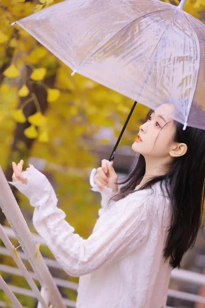 生辰八字分析图